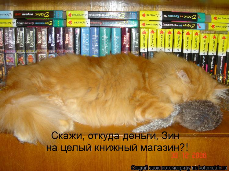 Скажи, откуда деньги, Зин на целый книжный магазин?!... Котоматрица: Скажи, откуда деньги, Зин на целый книжный магазин?!