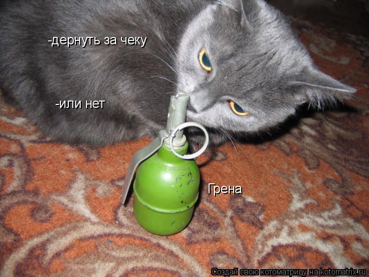 Грена -дернуть за чеку -или нет... Котоматрица: Грена -дернуть за чеку -или нет