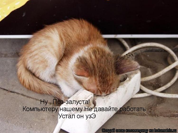 Ну , Поз-залуста! Компьютеру нашему Не давайте работать Устал он узЭ... Котоматрица: Ну , Поз-залуста! Компьютеру нашему Не давайте работать Устал он узЭ