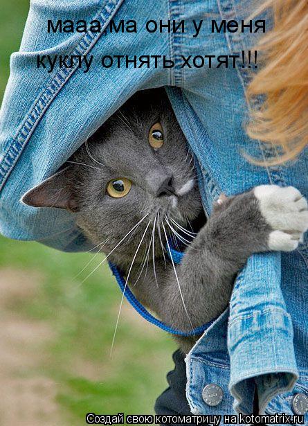 мааа,ма они у меня куклу отнять хотят!!!... Котоматрица: мааа,ма они у меня куклу отнять хотят!!!