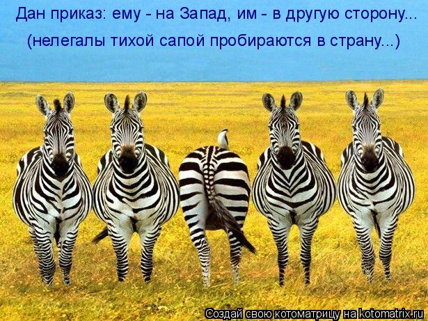 Дан приказ: ему - на Запад, им - в другую сторону... (нелегалы тихой сапой пробираются в страну...)... Котоматрица: Дан приказ: ему - на Запад, им - в другую сторону... (нелегалы тихой сапой пробираются в страну...)