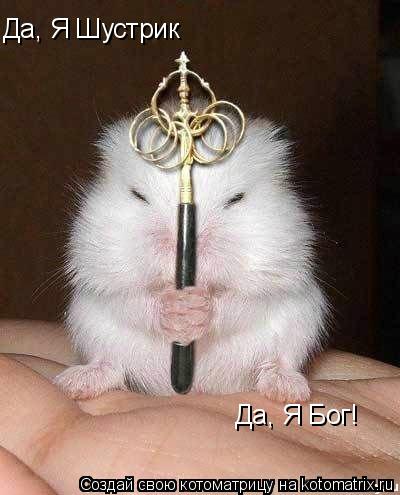 Да, Я Шустрик Да, Я Бог!... Котоматрица: Да, Я Шустрик Да, Я Бог!