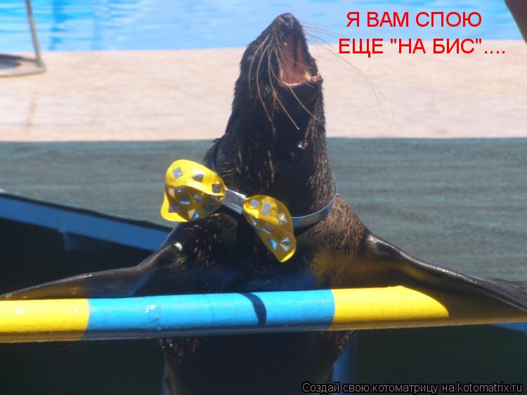 Я ВАМ СПОЮ ЕЩЕ "НА БИС"....... Котоматрица: Я ВАМ СПОЮ ЕЩЕ "НА БИС"....