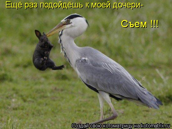 Ещё раз подойдёшь к моей дочери- Съем !!!... Котоматрица: Ещё раз подойдёшь к моей дочери- Съем !!!
