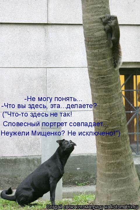Неужели Мищенко? Не исключено!") Словесный портрет совпадает... ("Что-то здесь не так! -Что вы здесь... Котоматрица: Неужели Мищенко? Не исключено!") Словесный портрет совпадает... ("Что-то здесь не так! -Что вы здесь, эта...делаете? -Не могу понять...
