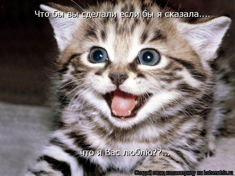 Что бы вы сделали если бы я сказала....что я Вас люблю??... Что бы вы сделали если бы я сказала.... ч... Котоматрица: Что бы вы сделали если бы я сказала....что я Вас люблю??... Что бы вы сделали если бы я сказала.... что я Вас люблю??...