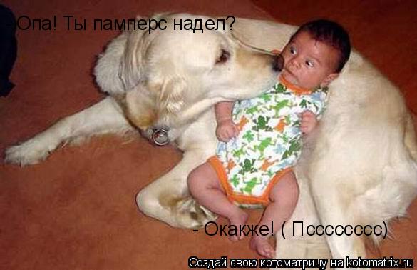 Котоматрица: - Опа! Ты памперс надел? - Окакже! ( Псссссссс)