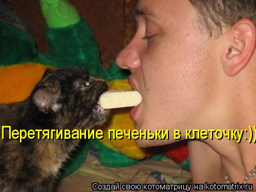 Перетягивание печеньки в клеточку:))... Котоматрица: Перетягивание печеньки в клеточку:))