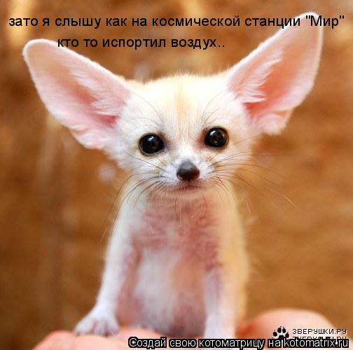 зато я слышу как на космической станции "Мир" кто то в ту зато я слышу как на космической станции "Ми... Котоматрица: зато я слышу как на космической станции "Мир" кто то в ту зато я слышу как на космической станции "Мир" кто то испортил воздух..
