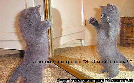 ... а потом я так грозно "ЭТО моя колбоса!!"... Котоматрица: ... а потом я так грозно "ЭТО моя колбоса!!"