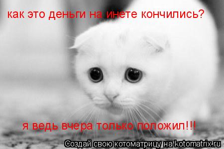 как это деньги на инете кончились? я ведь вчера только положил!!!... Котоматрица: как это деньги на инете кончились? я ведь вчера только положил!!!