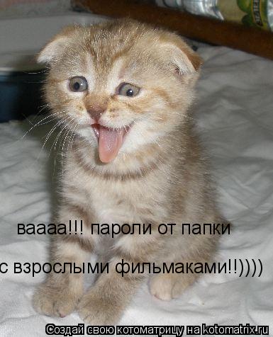 ваааа!!! пароли от папки с взрослыми фильмаками!!))))... Котоматрица: ваааа!!! пароли от папки с взрослыми фильмаками!!))))