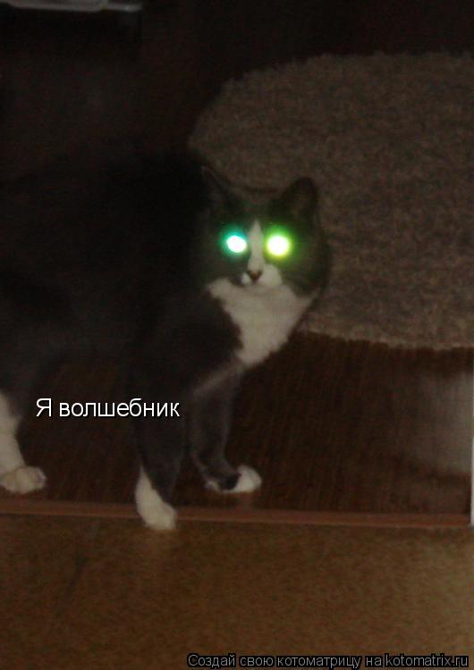 Я волшебник... Котоматрица: Я волшебник