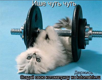 Ише чуть чуть... Котоматрица: Ише чуть чуть