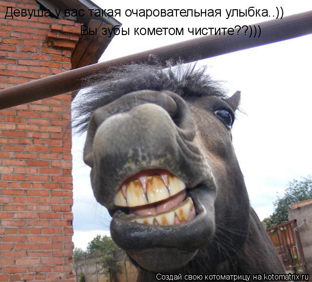 Котоматрица: Девуша,у вас такая очаровательная улыбка..)) Вы зубы кометом чистите??)))