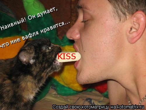 KISS Наивный! Он думает, что мне вафля нравится...... Котоматрица: KISS Наивный! Он думает, что мне вафля нравится...