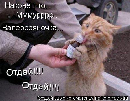 Наконец-то... Мммурррр.. Валеррряночка... Отдай!!!! Отдай!!!!... Котоматрица: Наконец-то... Мммурррр.. Валеррряночка... Отдай!!!! Отдай!!!!