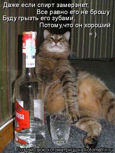 Даже если спирт замерзнет, Все равно его не брошу Буду грызть его зубами, Потому,что он хороший = )... Котоматрица: Даже если спирт замерзнет, Все равно его не брошу Буду грызть его зубами, Потому,что он хороший = )
