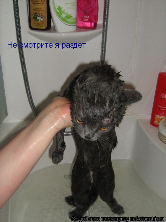 Не смотрите я раздет... Котоматрица: Не смотрите я раздет