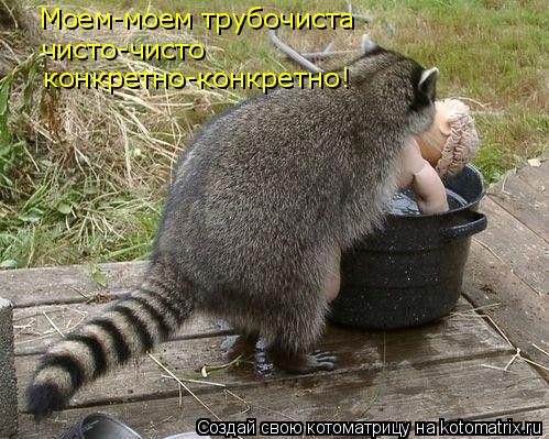 Моем-моем трубочиста чисто-чисто конкретно-конкретно!... Котоматрица: Моем-моем трубочиста чисто-чисто конкретно-конкретно!