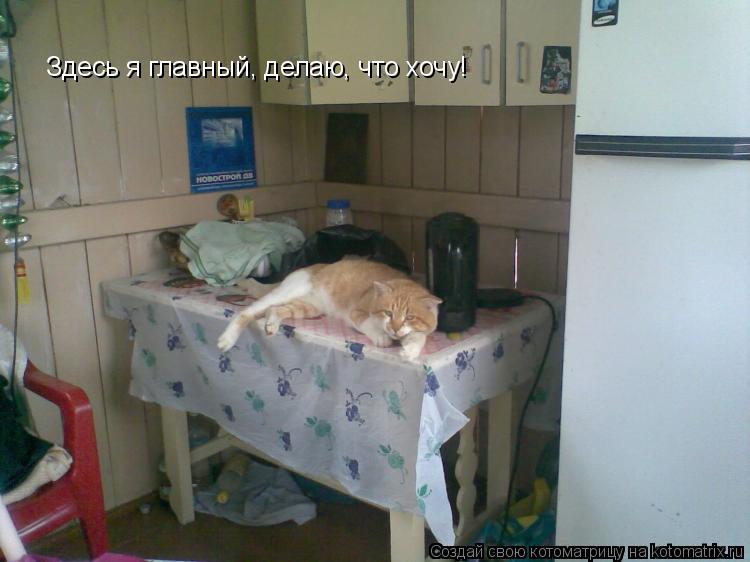 Здесь я главный, делаю, что хочу!... Котоматрица: Здесь я главный, делаю, что хочу!
