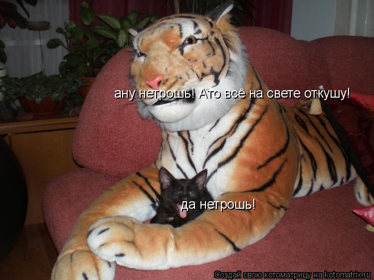 да нетрошь! ану нетрошь! Ато всё на свете откушу!... Котоматрица: да нетрошь! ану нетрошь! Ато всё на свете откушу!