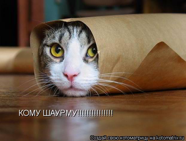 КОМУ ШАУРМУ!!!!!!!!!!!!!!!... Котоматрица: КОМУ ШАУРМУ!!!!!!!!!!!!!!!
