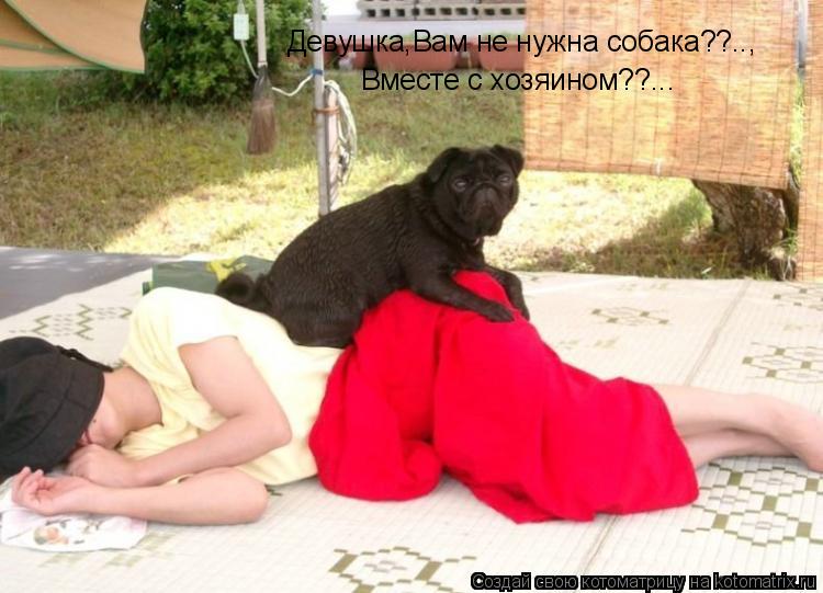 Девушка,Вам не нужна собака??.., Вместе с хозяином??...... Котоматрица: Девушка,Вам не нужна собака??.., Вместе с хозяином??...
