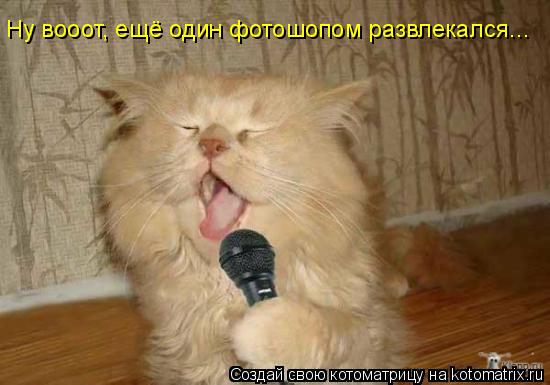 Ну вооот, ещё один фотошопом развлекался...... Котоматрица: Ну вооот, ещё один фотошопом развлекался...