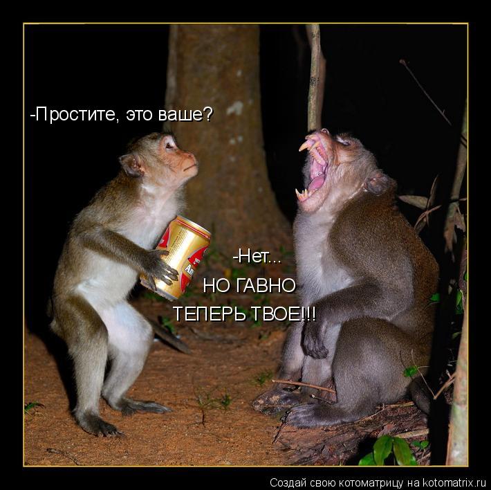 -Простите, это ваше? -Нет... НО ГАВНО ТЕПЕРЬ ТВОЕ!!!... Котоматрица: -Простите, это ваше? -Нет... НО ГАВНО ТЕПЕРЬ ТВОЕ!!!