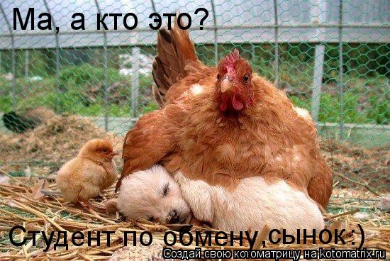 Ма, а кто это? Студент по обмену ,сынок :)... Котоматрица: Ма, а кто это? Студент по обмену ,сынок :)