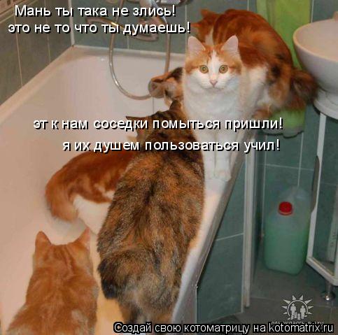 Мань ты така не злись! это не то что ты думаешь! эт к нам соседки помыться пришли! я их душем пользов... Котоматрица: Мань ты така не злись! это не то что ты думаешь! эт к нам соседки помыться пришли! я их душем пользоваться учил!