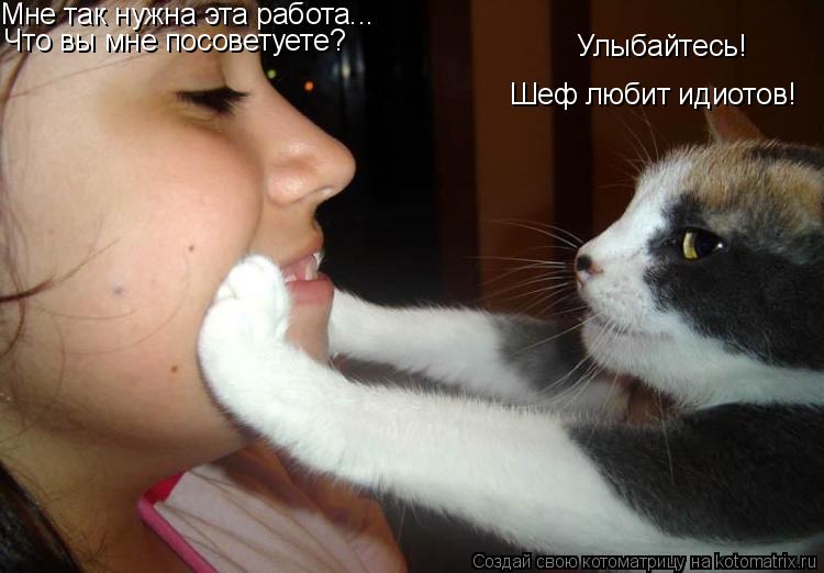 Шеф любит идиотов! Улыбайтесь! Мне так нужна эта работа... Что вы мне посоветуете?... Котоматрица: Шеф любит идиотов! Улыбайтесь! Мне так нужна эта работа... Что вы мне посоветуете?