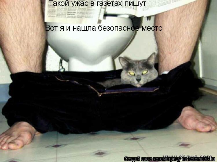 Котоматрица: Такой ужас в газетах пишут Вот я и нашла безопасное место