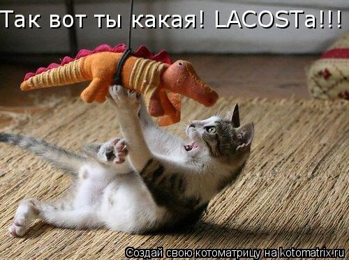Так вот ты какая! LACOSTа!!!... Котоматрица: Так вот ты какая! LACOSTа!!!