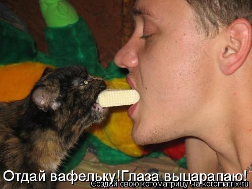 Отдай вафельку!Глаза выцарапаю! Отдай вафельку!Глаза выцарапаю!... Котоматрица: Отдай вафельку!Глаза выцарапаю! Отдай вафельку!Глаза выцарапаю!