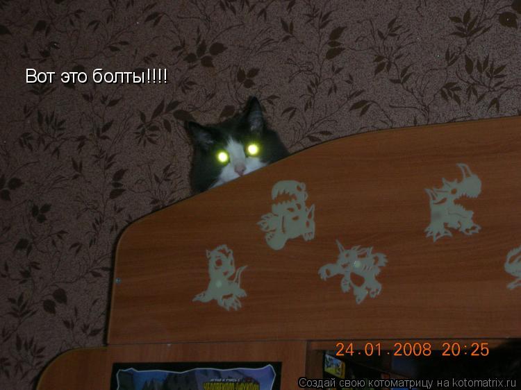Вот это болты!!!!... Котоматрица: Вот это болты!!!!