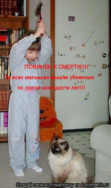 ПОВИНЕН К СМЕРТИ!!!! За всех малышек-мышек убиенных по лютой молодости лет!!!... Котоматрица: ПОВИНЕН К СМЕРТИ!!!! За всех малышек-мышек убиенных по лютой молодости лет!!!