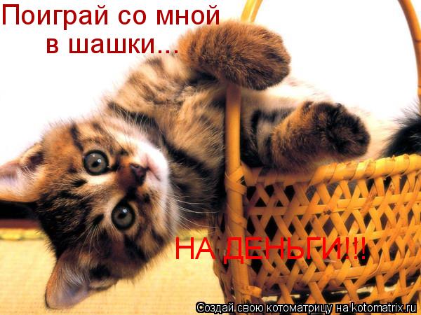 Поиграй со мной в шашки... НА ДЕНЬГИ!!!... Котоматрица: Поиграй со мной в шашки... НА ДЕНЬГИ!!!