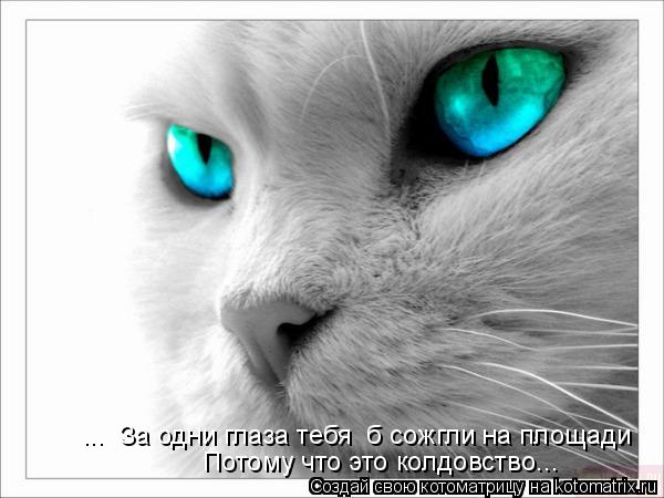 ... За одни глаза тебя б сожгли на площади Потому что это колдовство...... Котоматрица: ... За одни глаза тебя б сожгли на площади Потому что это колдовство...