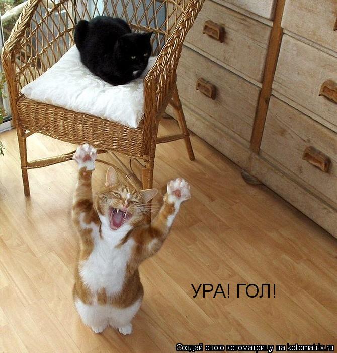 УРА! ГОЛ!... Котоматрица: УРА! ГОЛ!