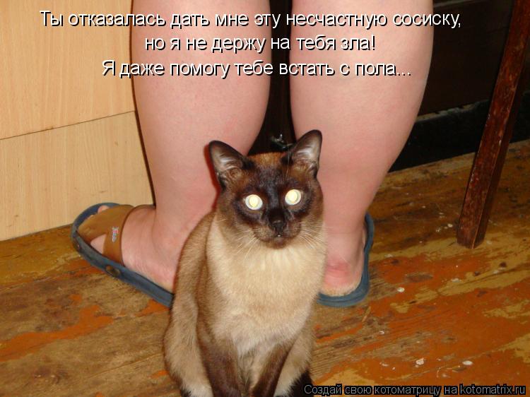 Ты отказалась дать мне эту несчастную сосиску, но я не держу на тебя зла! Я даже помогу тебе встать... Котоматрица: Ты отказалась дать мне эту несчастную сосиску, но я не держу на тебя зла! Я даже помогу тебе встать с пола...