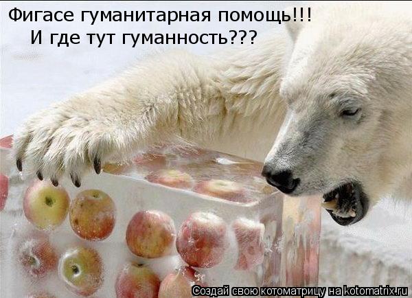 Фигасе гуманитарная помощь!!! И где тут гуманность???... Котоматрица: Фигасе гуманитарная помощь!!! И где тут гуманность???