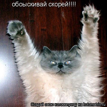 обоыскивай скорей!!!!... Котоматрица: обоыскивай скорей!!!!