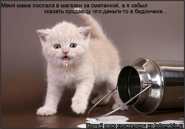 Меня мама послала в магазин за сметанкой, а я забыл сказать продавцу, что деньги-то в бидончике...... Котоматрица: Меня мама послала в магазин за сметанкой, а я забыл сказать продавцу, что деньги-то в бидончике...