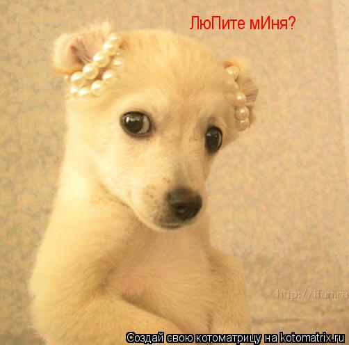 ЛюПите мИня?... Котоматрица: ЛюПите мИня?