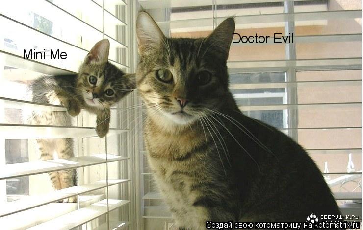 Doctor Evil Mini Me... Котоматрица: Doctor Evil Mini Me