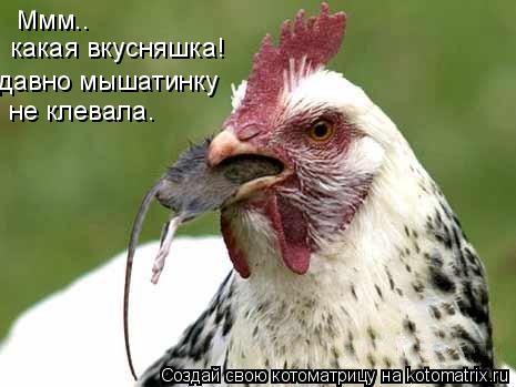 Ммм.. какая вкусняшка! давно мышатинку не клевала.... Котоматрица: Ммм.. какая вкусняшка! давно мышатинку не клевала.