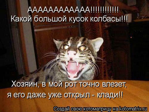 АААААААААААА!!!!!!!!!!!! Хозяин, в мой рот точно влезет, я его даже уже открыл - клади!! Какой большо... Котоматрица: АААААААААААА!!!!!!!!!!!! Хозяин, в мой рот точно влезет, я его даже уже открыл - клади!! Какой большой кусок колбасы!!!