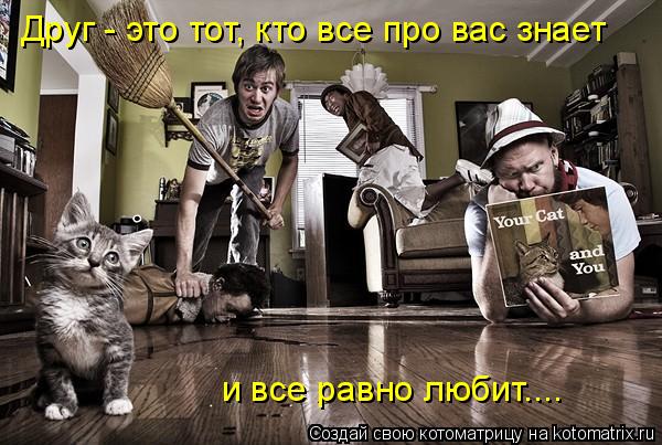 Друг - это тот, кто все про вас знает и все равно любит....... Котоматрица: Друг - это тот, кто все про вас знает и все равно любит....